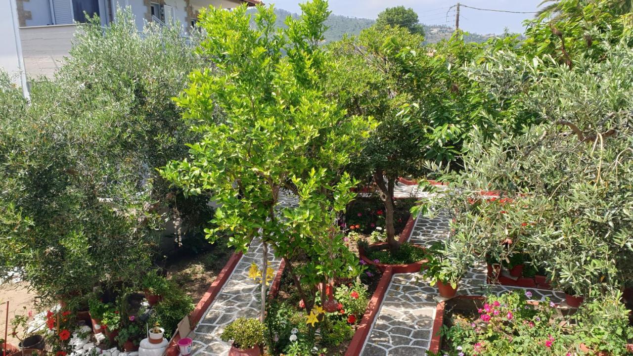 Villa Irida Sarti Dış mekan fotoğraf