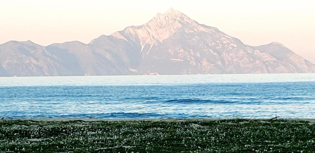 Villa Irida Sarti Dış mekan fotoğraf